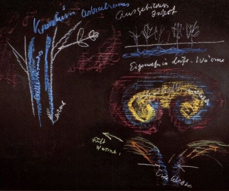 Landwirtschaftlicher Kurs